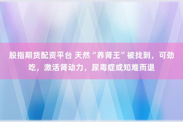 股指期货配资平台 天然“养肾王”被找到，可劲吃，激活肾动力，尿毒症或知难而退