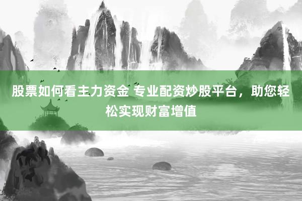 股票如何看主力资金 专业配资炒股平台，助您轻松实现财富增值