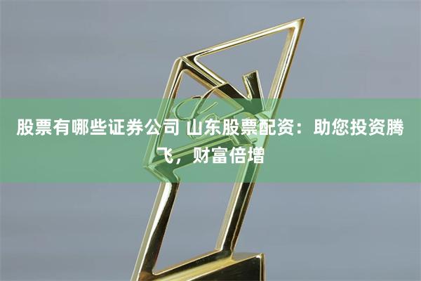 股票有哪些证券公司 山东股票配资：助您投资腾飞，财富倍增