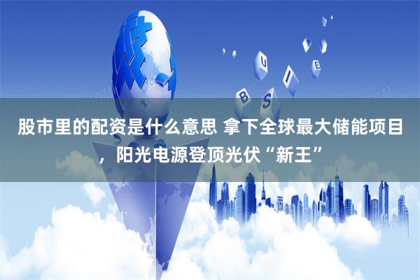 股市里的配资是什么意思 拿下全球最大储能项目，阳光电源登顶光伏“新王”